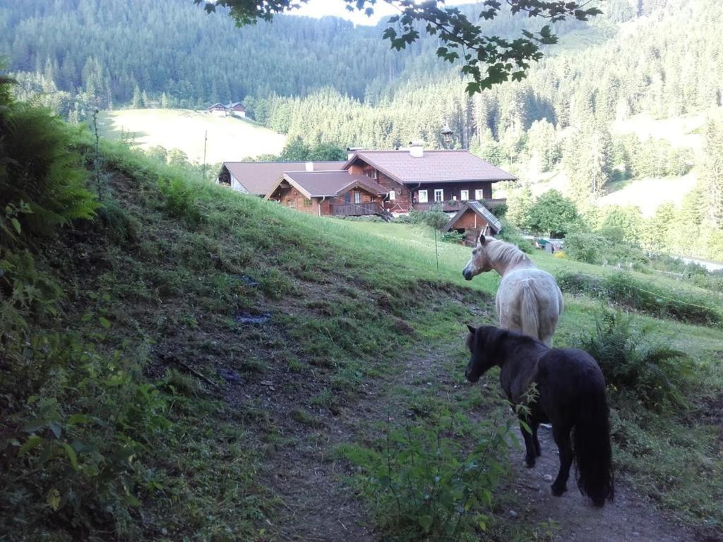 Neudegghof Apartment อีเบิน อิม พอนเกา ภายนอก รูปภาพ
